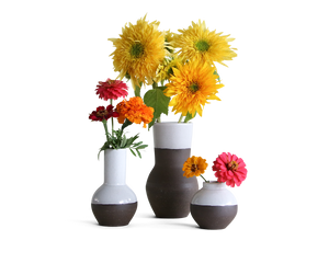 vase-bundle